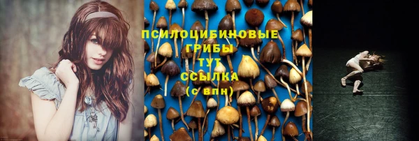 дурь Абинск