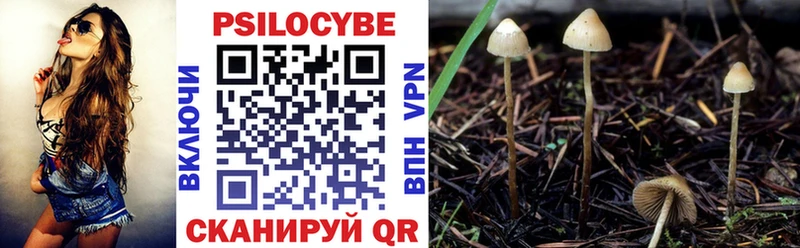 Галлюциногенные грибы Cubensis  Чита 